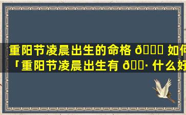 重阳节凌晨出生的命格 🐒 如何「重阳节凌晨出生有 🌷 什么好处」